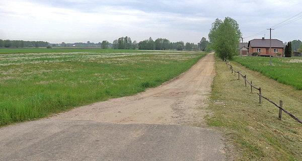Polna droga z Błonia do Ostrowia