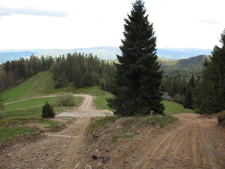 Hala Konieczna z innej perspektywy