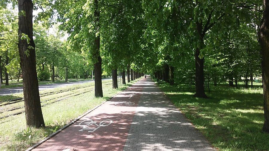 Konstantynowska ddr