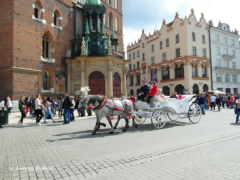 Zwiedzamy Kraków