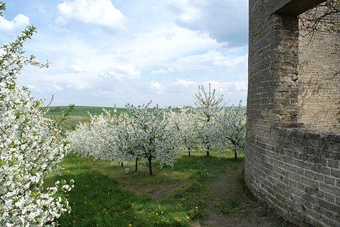 Pozostałości wapiennika w okolicach Żukowa