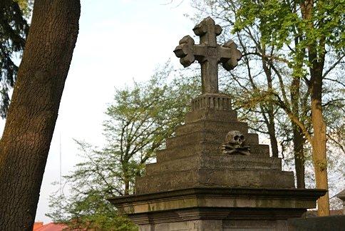 Czaszka nr.2 - stary cmentarz sandomierski
