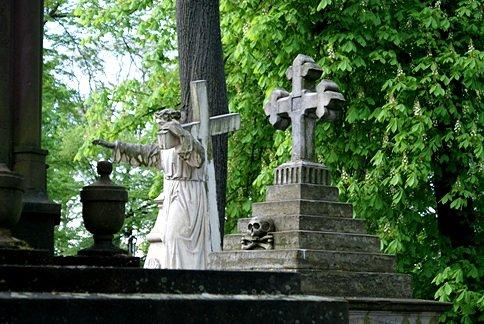 Czaszka nr5. - stary cmentarz sandomierski