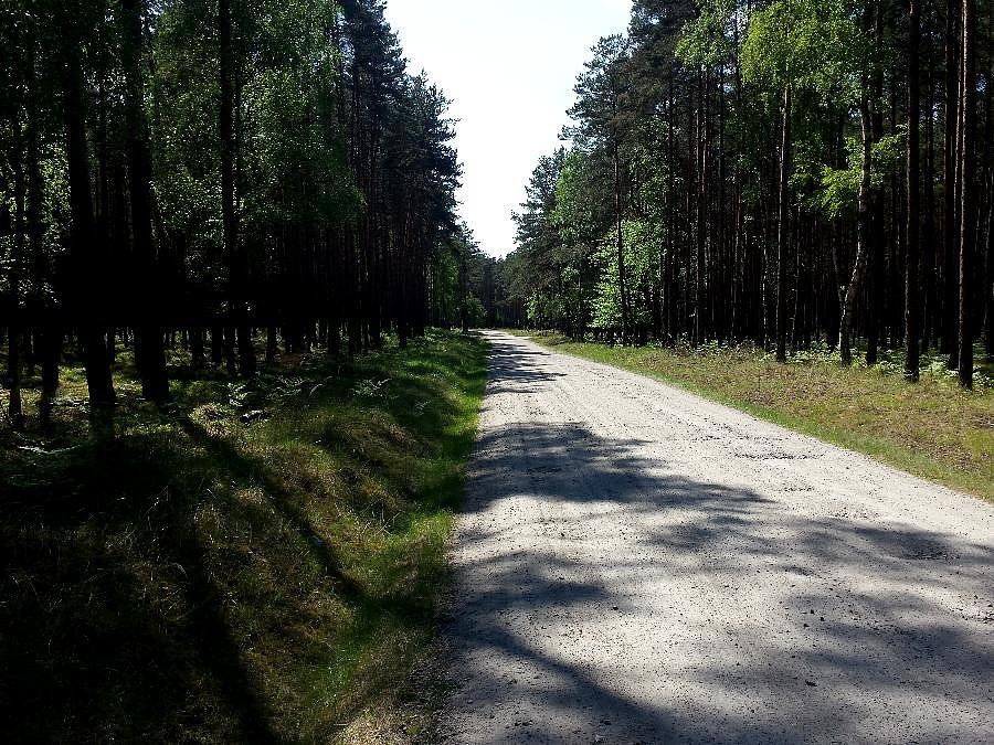Dojazd pozarowy nr 40