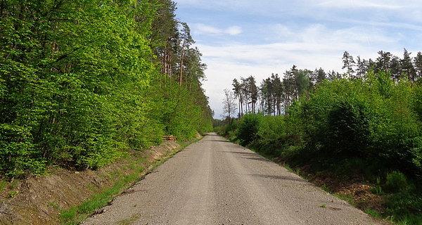 Nowa szutrówka w lesie