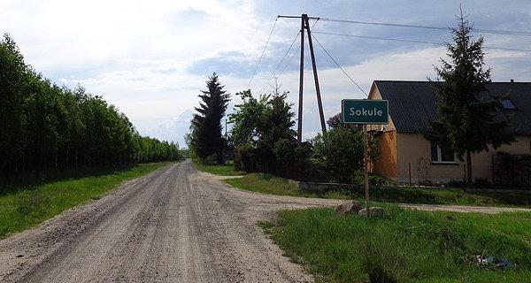 Sokule od strony lasu