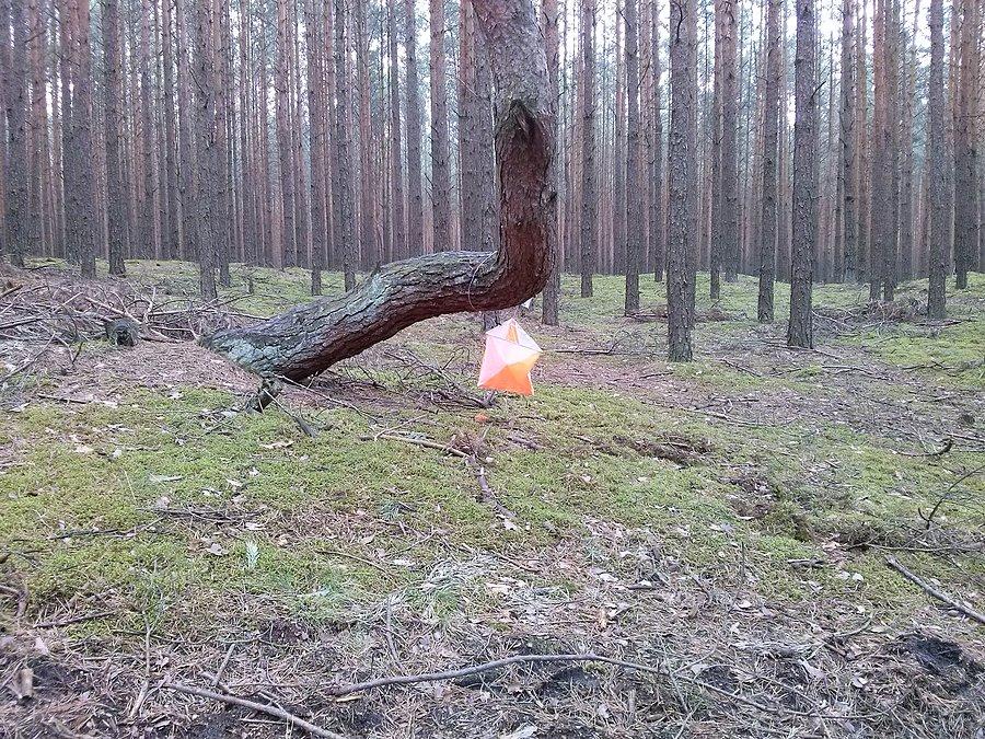 Punkt kontrolny