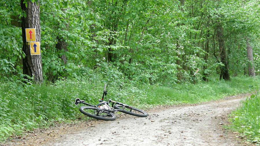 Dojechałem spoczko do oznaczeń trasy