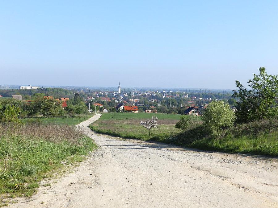 Widok na Strzelin