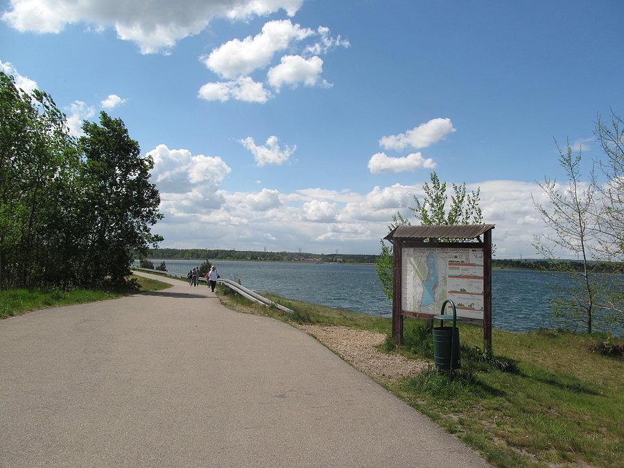 Zimno, a na dodatek wiało