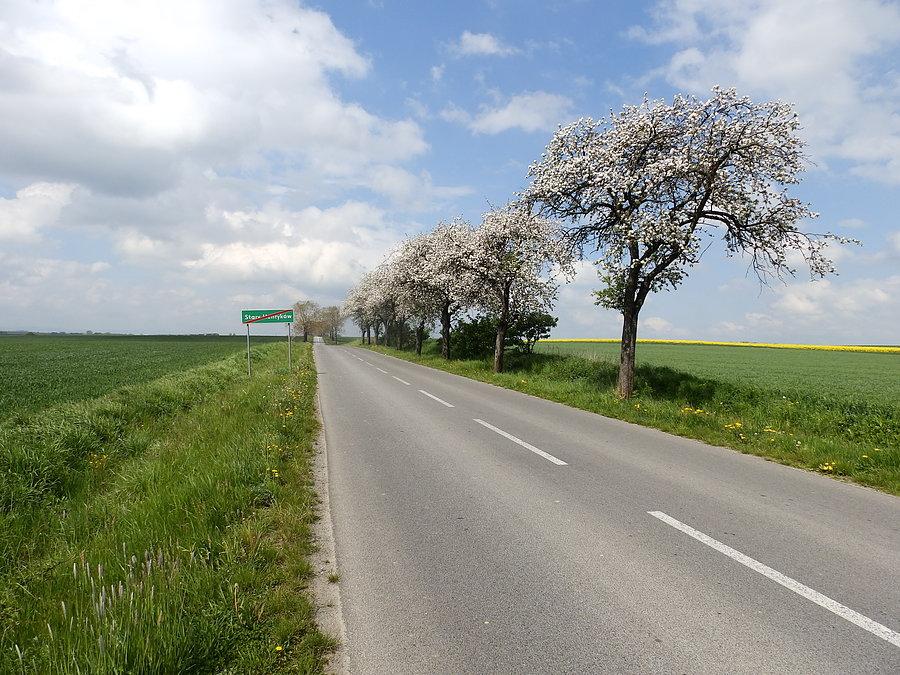 Szosa od Starego Henrykowa do Niemczy