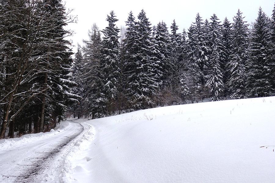 Droga na Igliczną powyżej Szklar