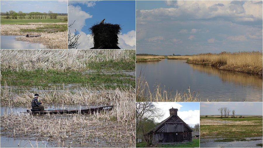 Rybak i forteca