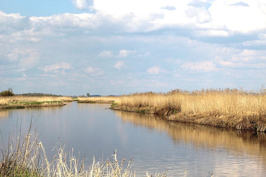 Biebrza