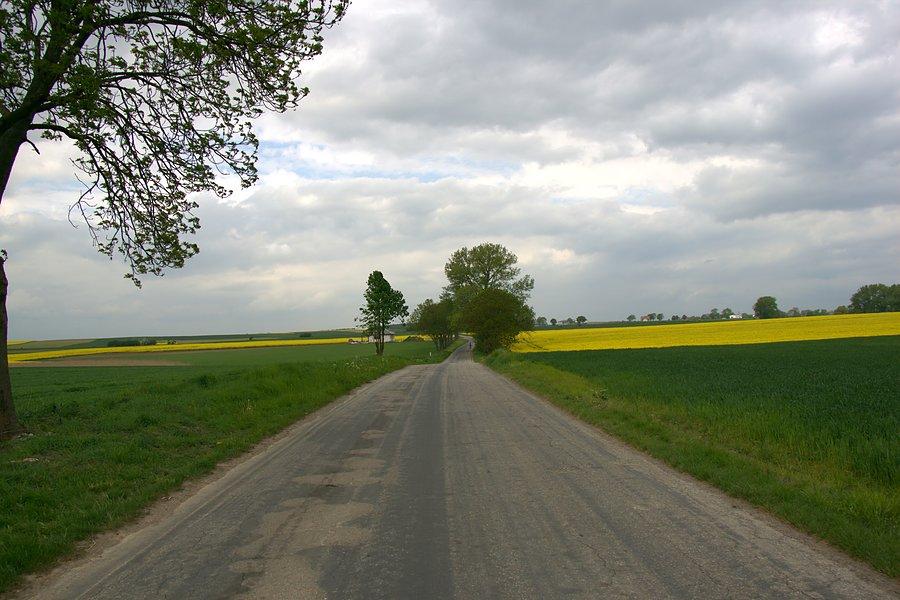 Na trasie maratonu
