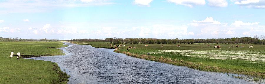 Krajobraz nad Kanałem Rudzkim