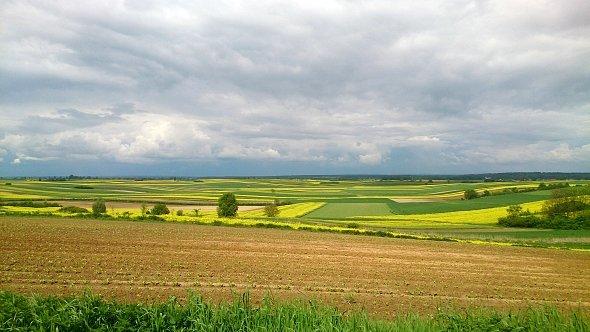 Widok na pola w Szczebrzeszynie