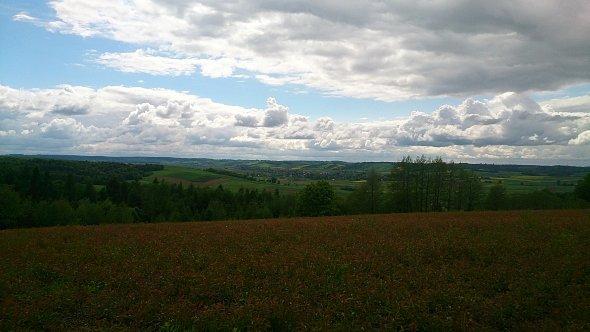 Widok na pola w Gorajcu