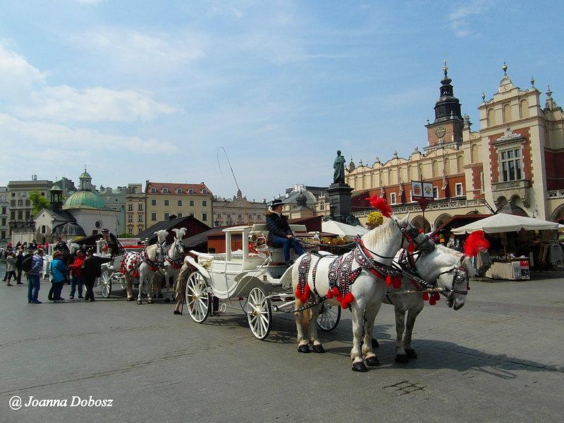 Rynek w Krakowie