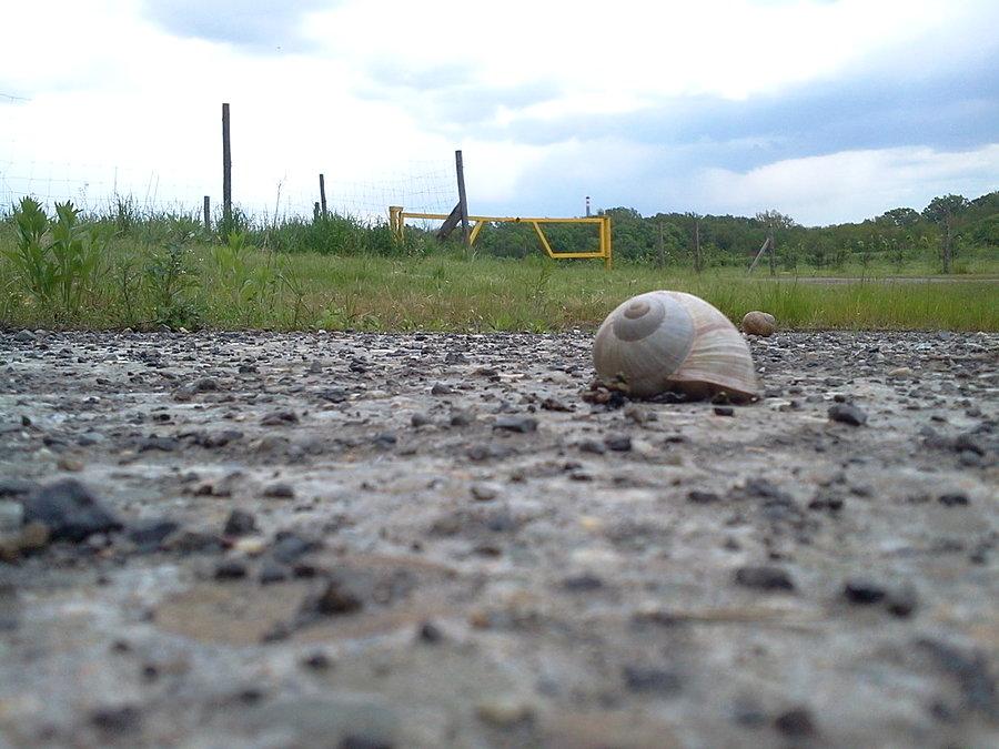 Koło byłej kopalni Hlubina (Głębina)