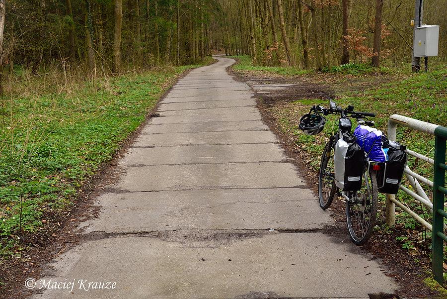 Droga w Parku Krajobrazowym Wysoczyzny Elbląskiej