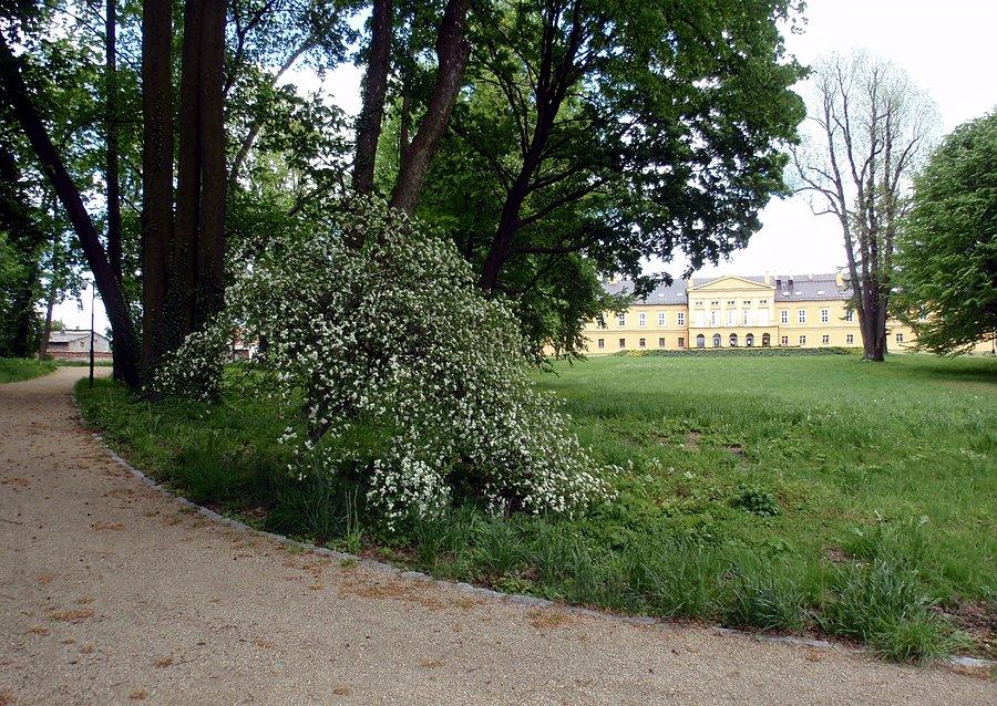 Park i pałac koszęciński