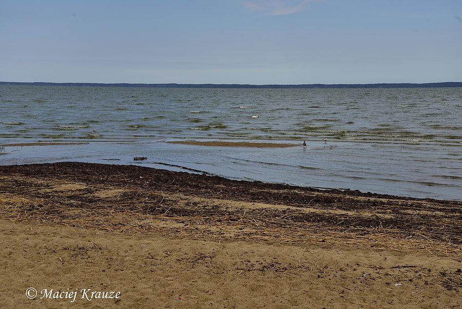 Pierwszy widok na Zalew Wiślany z bliska