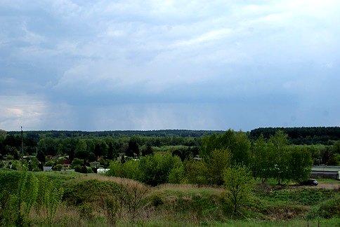 Lasów u nas bezmiar