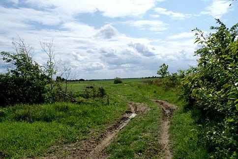 Polną ścieżką przez ogródek