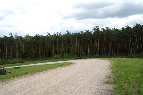 Szerokie przejście dla zwierząt nad S8