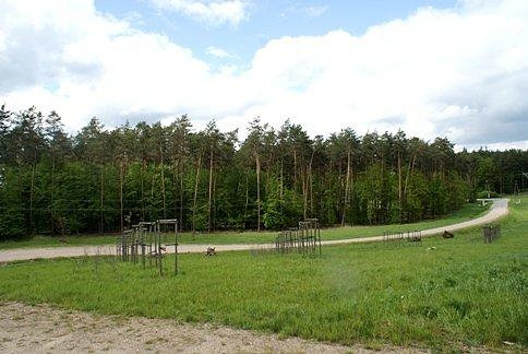 Przejście dla zwierząt nad S8 z drugiej strony