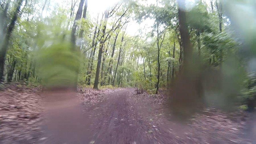 W Katowicach znów leje