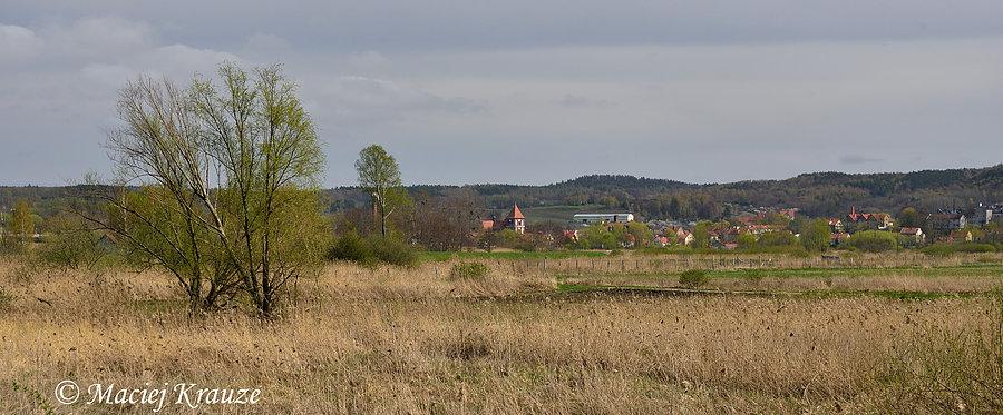 Panorama Tolkmicka