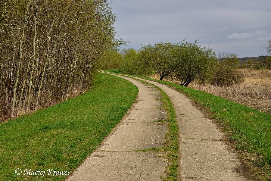 Green Velo przed Tolkmickiem