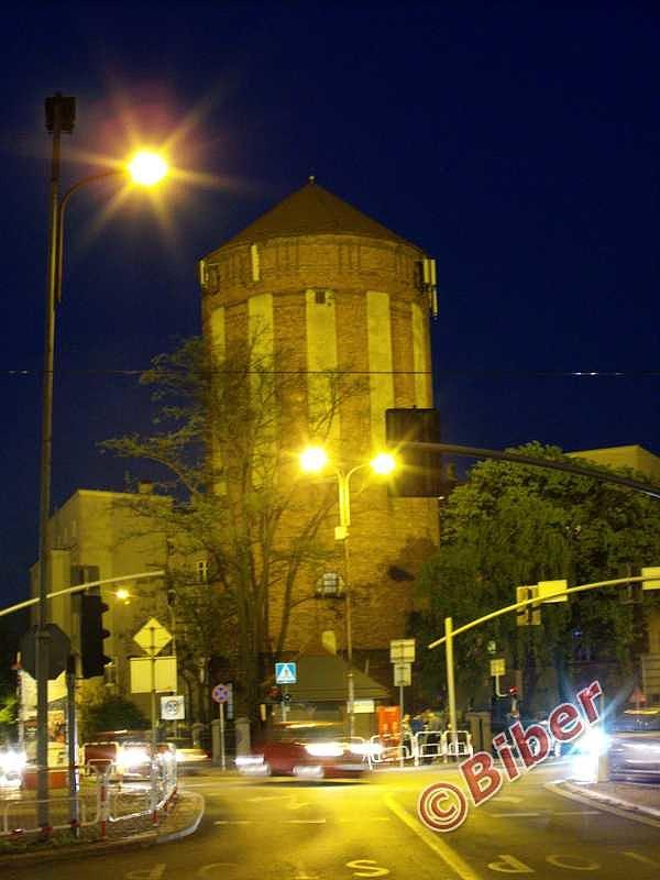 Bohaterka wieczoru