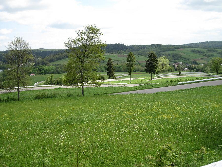 Zakrętasy