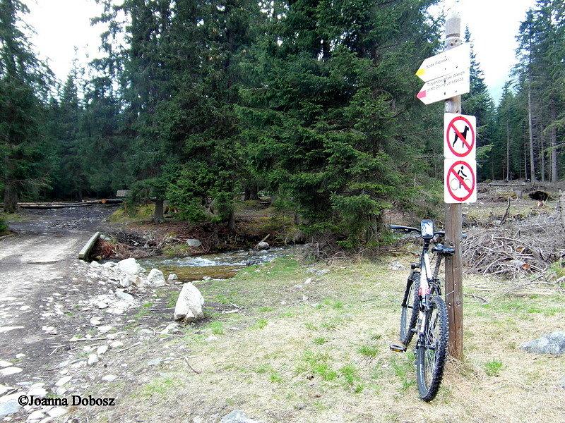 Dolina Chochołowska - rowerom dalej stop