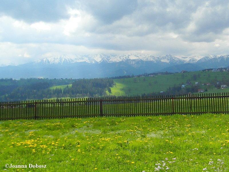 Widok z Zęba na Zakopane