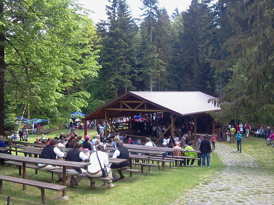 Festyn w Kosarzyskach