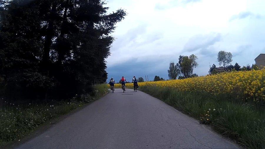 Przez pola rzepaku
