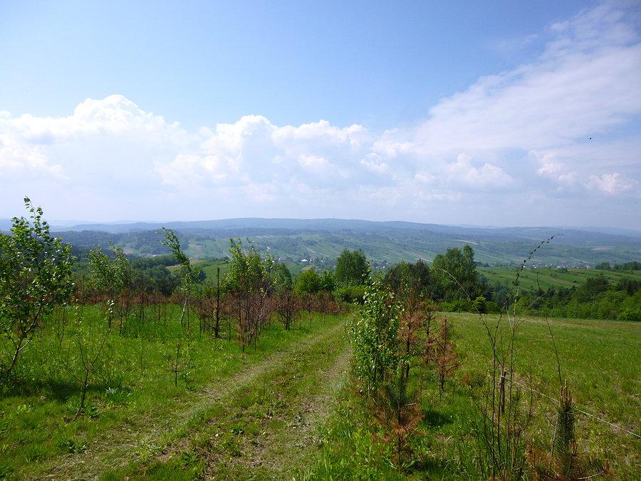 Beskid Niski i Bieszczady tuż za rogiem