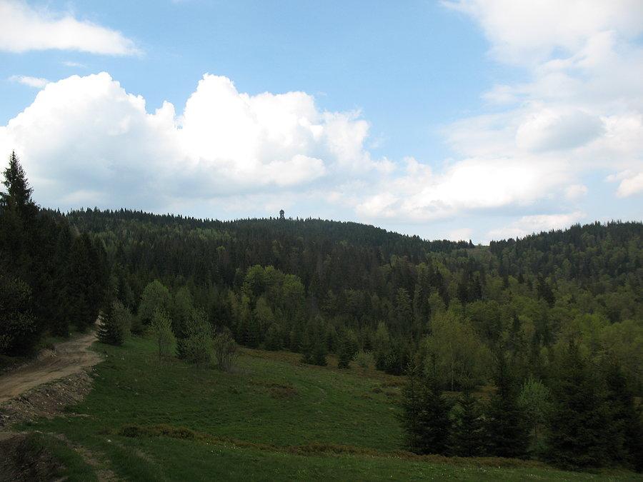 Wieża widokowa na Gorcu