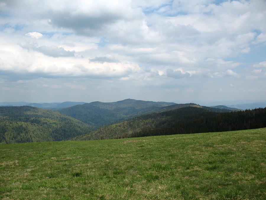 W oddali Gorc (1228 m.n.p.m)
