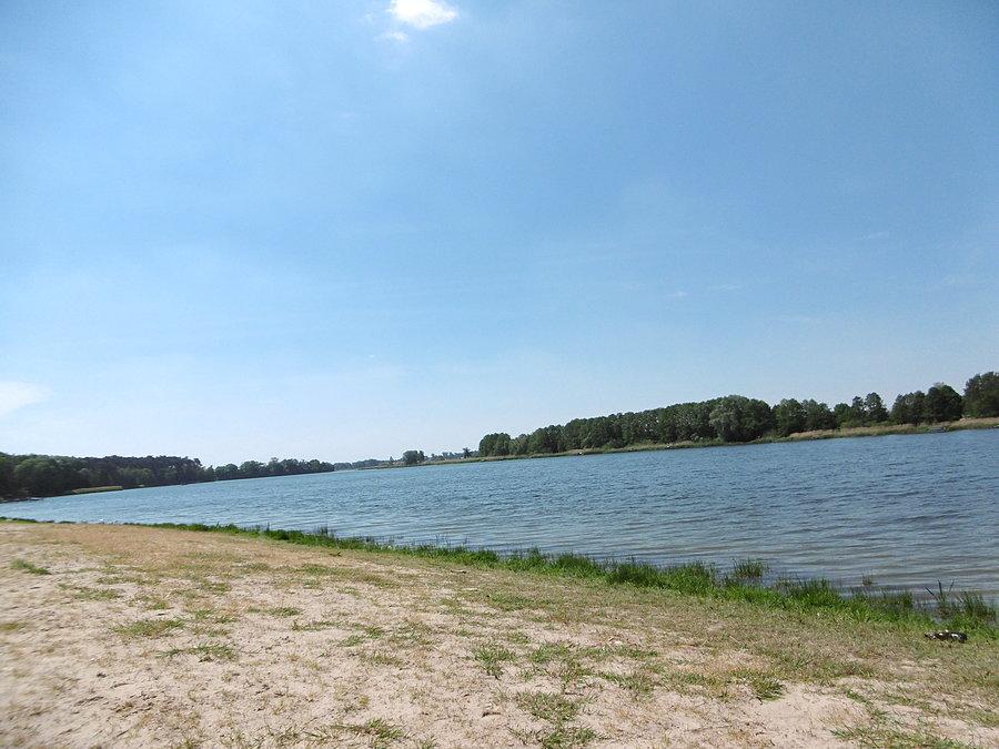 Widoczek