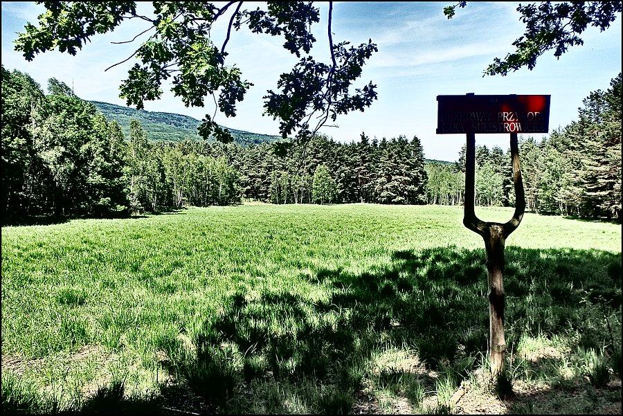 Rezerwat Przyrody Łąka Sulistrowicka