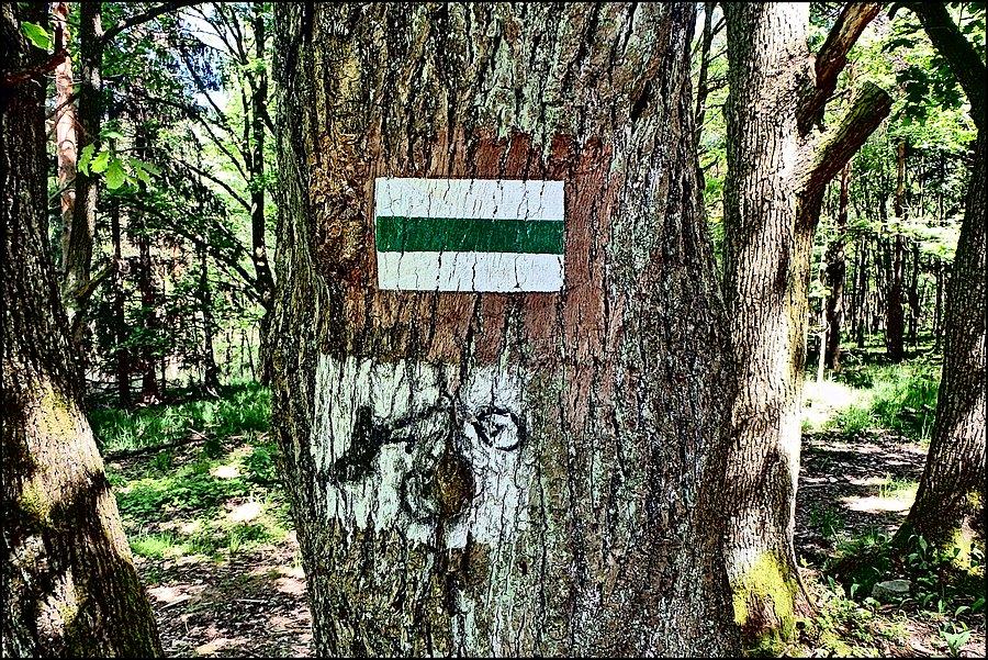 Nowe oznaczenia szlaków...?