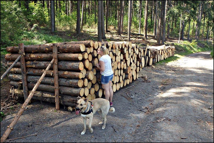 Żona dendrofilka ;)