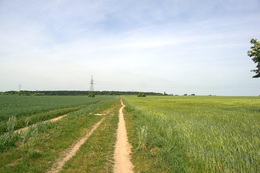 Ścieżką do Grzędzic