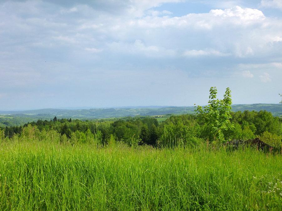Widoki z Ujazdów