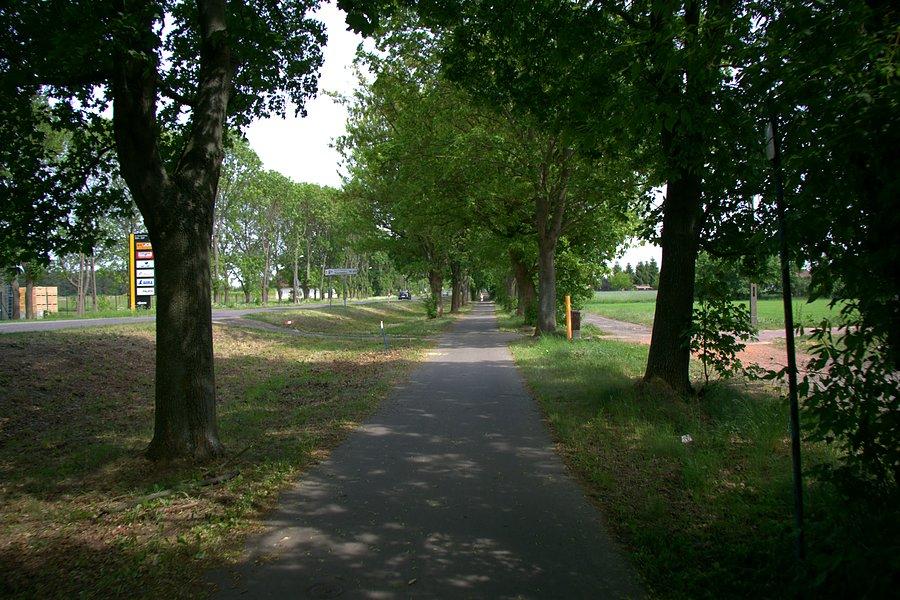 DDRką nad Miedwie
